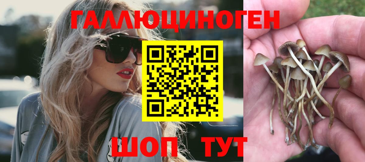 Галлюциногенные грибы мицелий  Вход с VPN  Свободный 